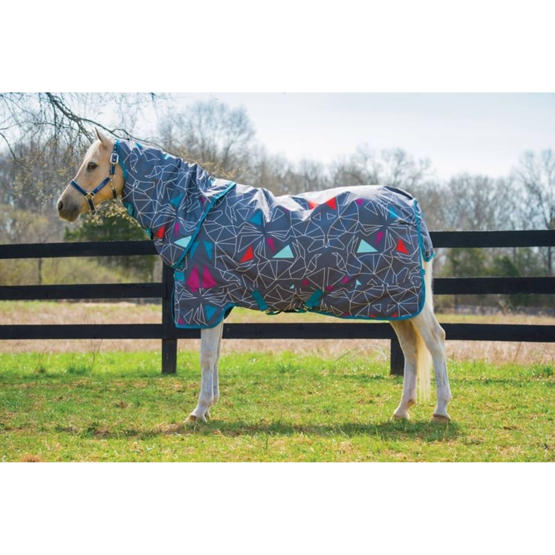 Amigo Pony Plus Turnout Blanket (0g Lite)
