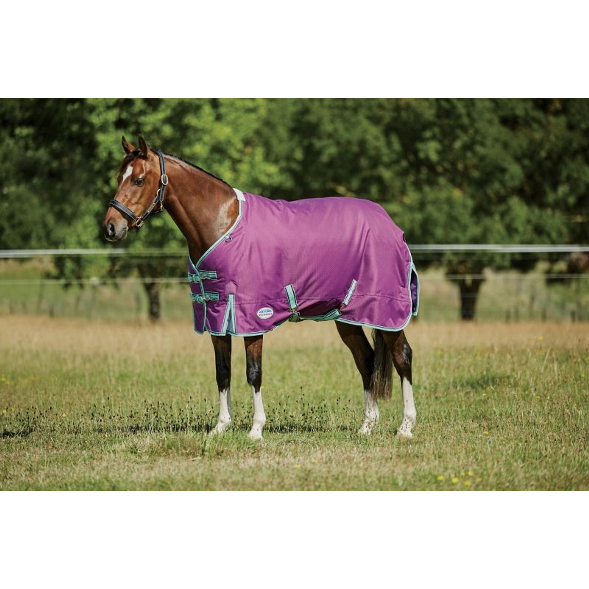 Weatherbeeta ComFiTec Premier Freedom Pony Standard Neck Medium Turnout