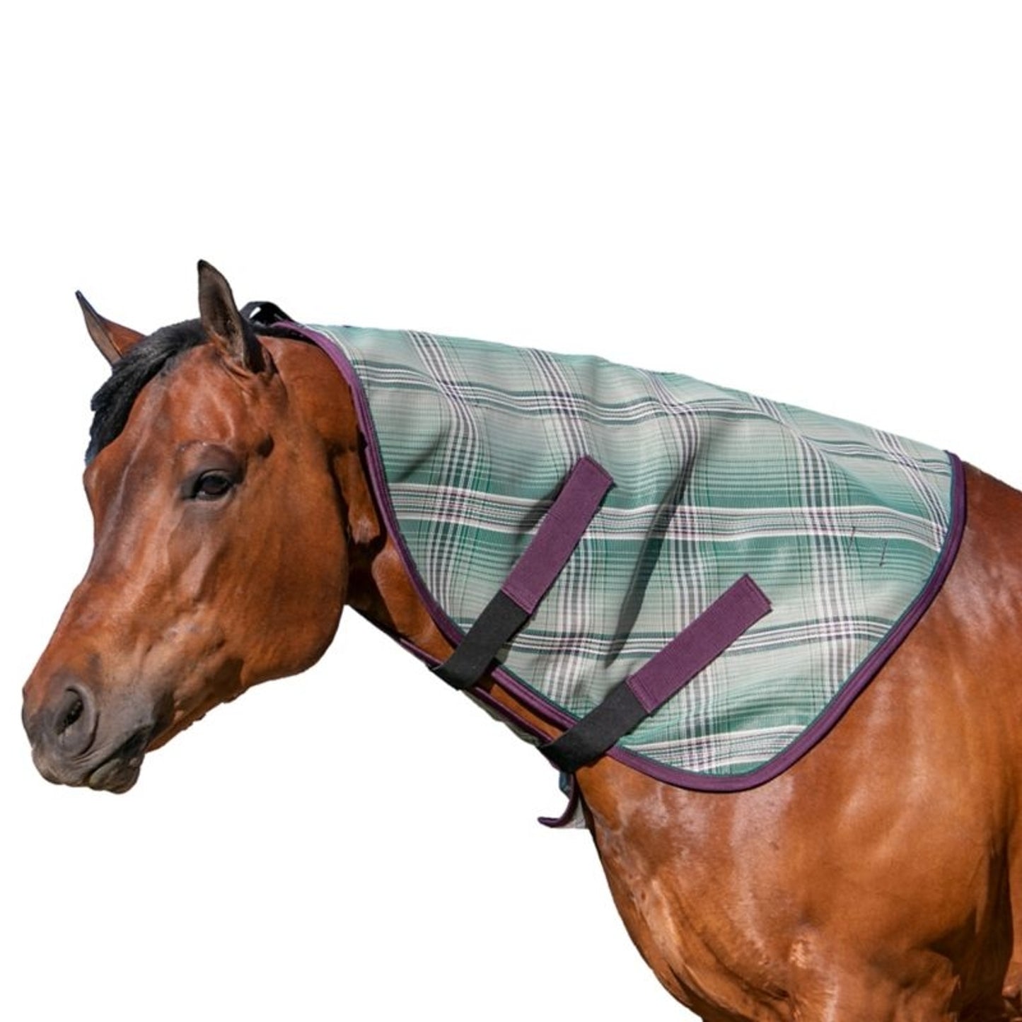 Kensington Signature Protective Neck Piece