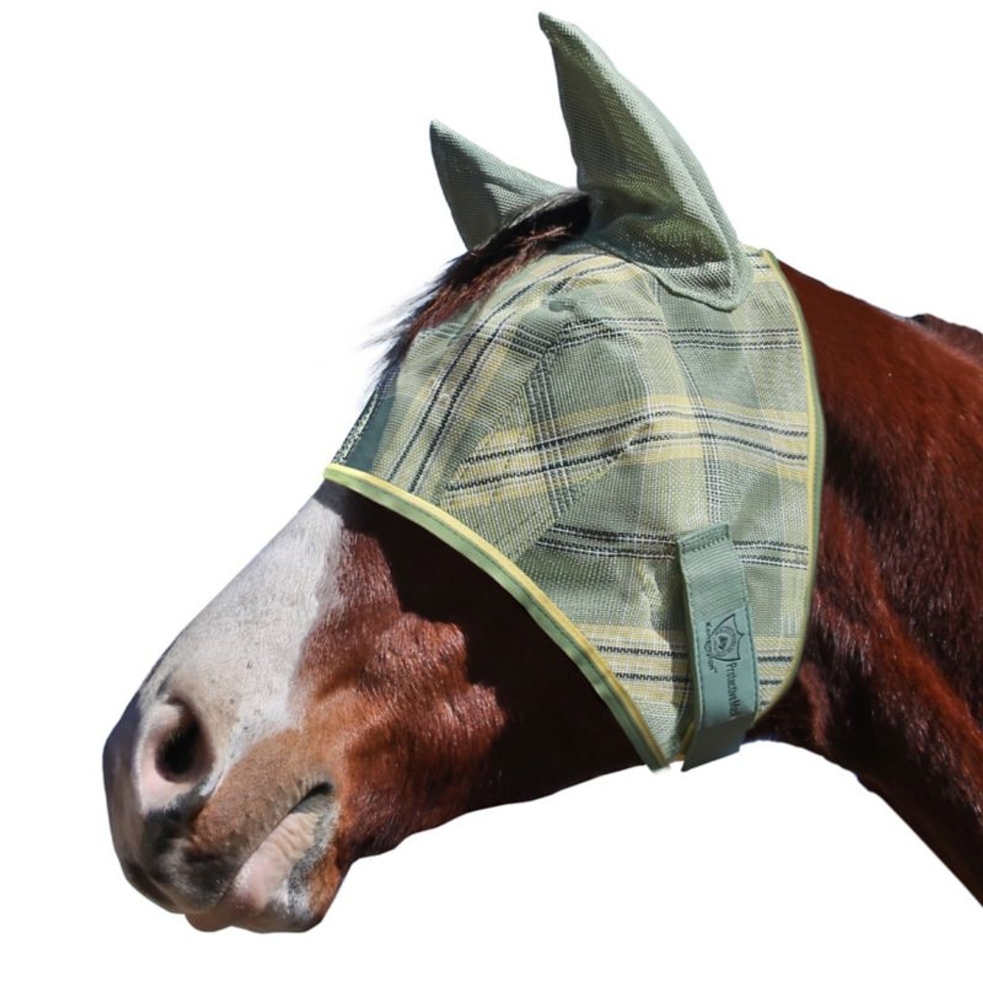 Kensington Web Trim Fly Mask with Ears & Forelock