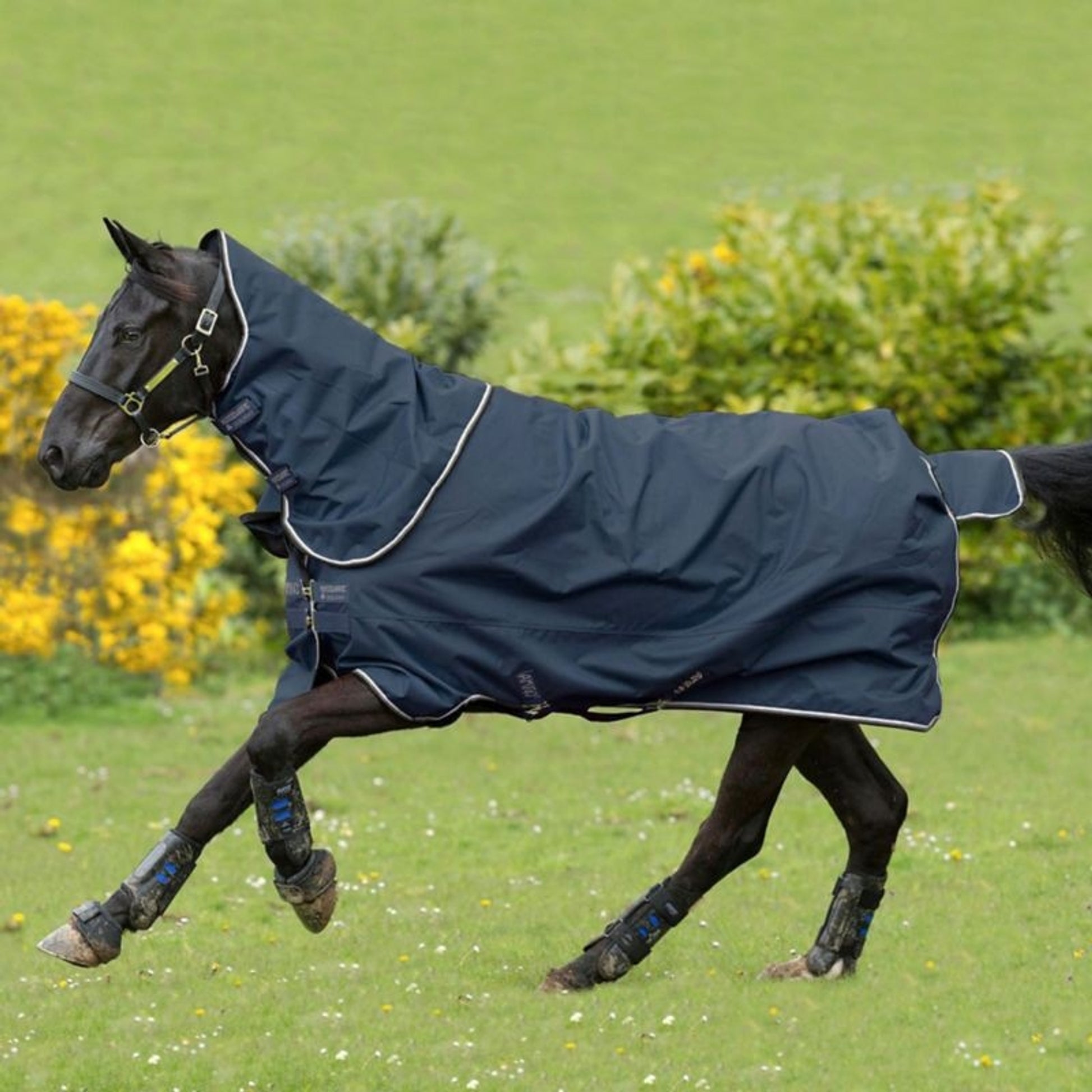 Horseware 1200D Plus Turnout Lite