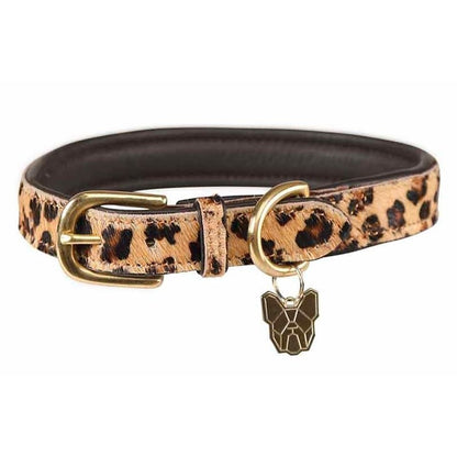 Shires Digby & Fox Printed Cow Hair Dog Collar