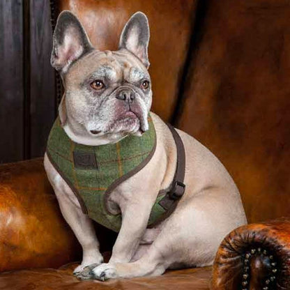 Shires Digby & Fox Tweed Dog Harness