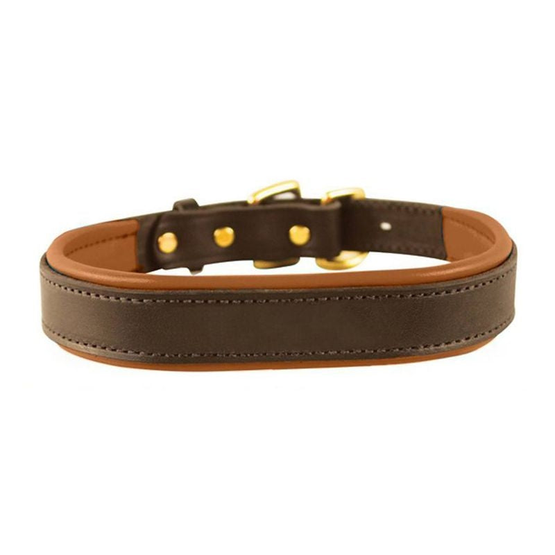 Perri's Padded Leather Dog Collar