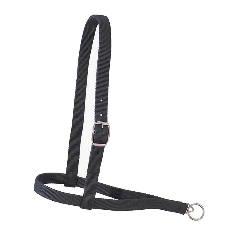 Royal King Nylon Web Noseband