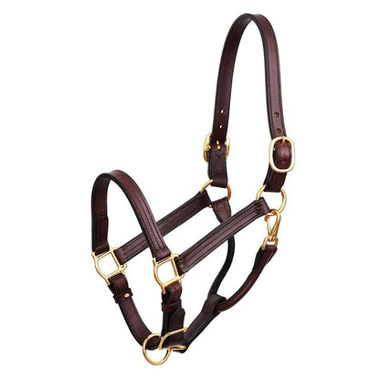 Perri's Premium 1" Leather Show Halter