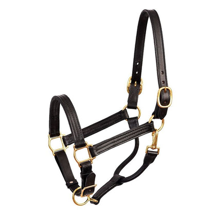 Perri's Premium 1" Leather Show Halter