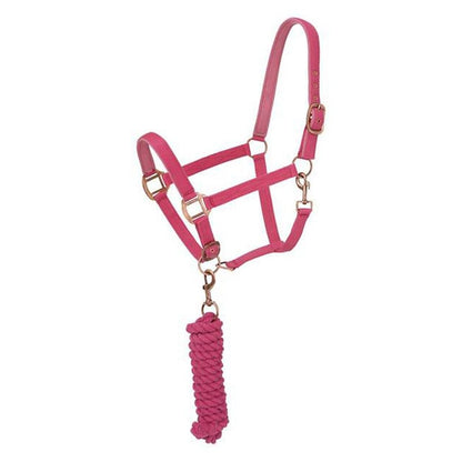 Tough1 Neoprene Padded Halter with Antique Hardware Lead Set