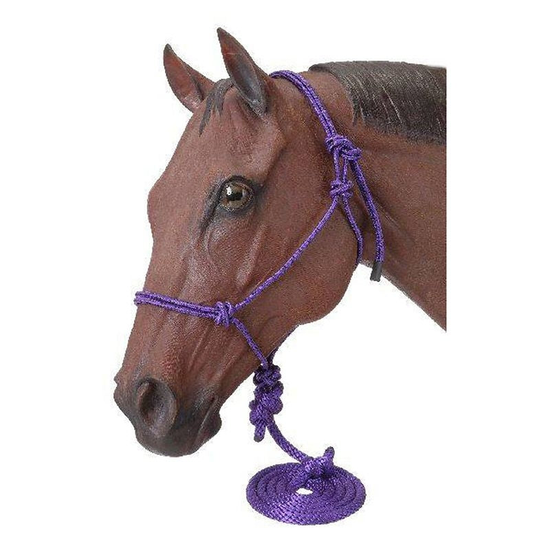 Tough1 Miniature Poly Rope Halters with Leads - 6 Pack