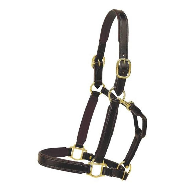 Tory Leather 1" Padded Halter with Brass Hardware