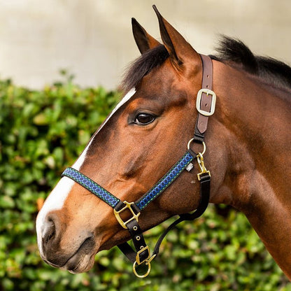 Equinavia Pegasus Ribbon Breakaway Halter
