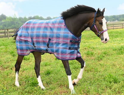 Kensington Horse Protective Fly Sheet