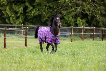 Kensington Pony Protective Fly Sheet