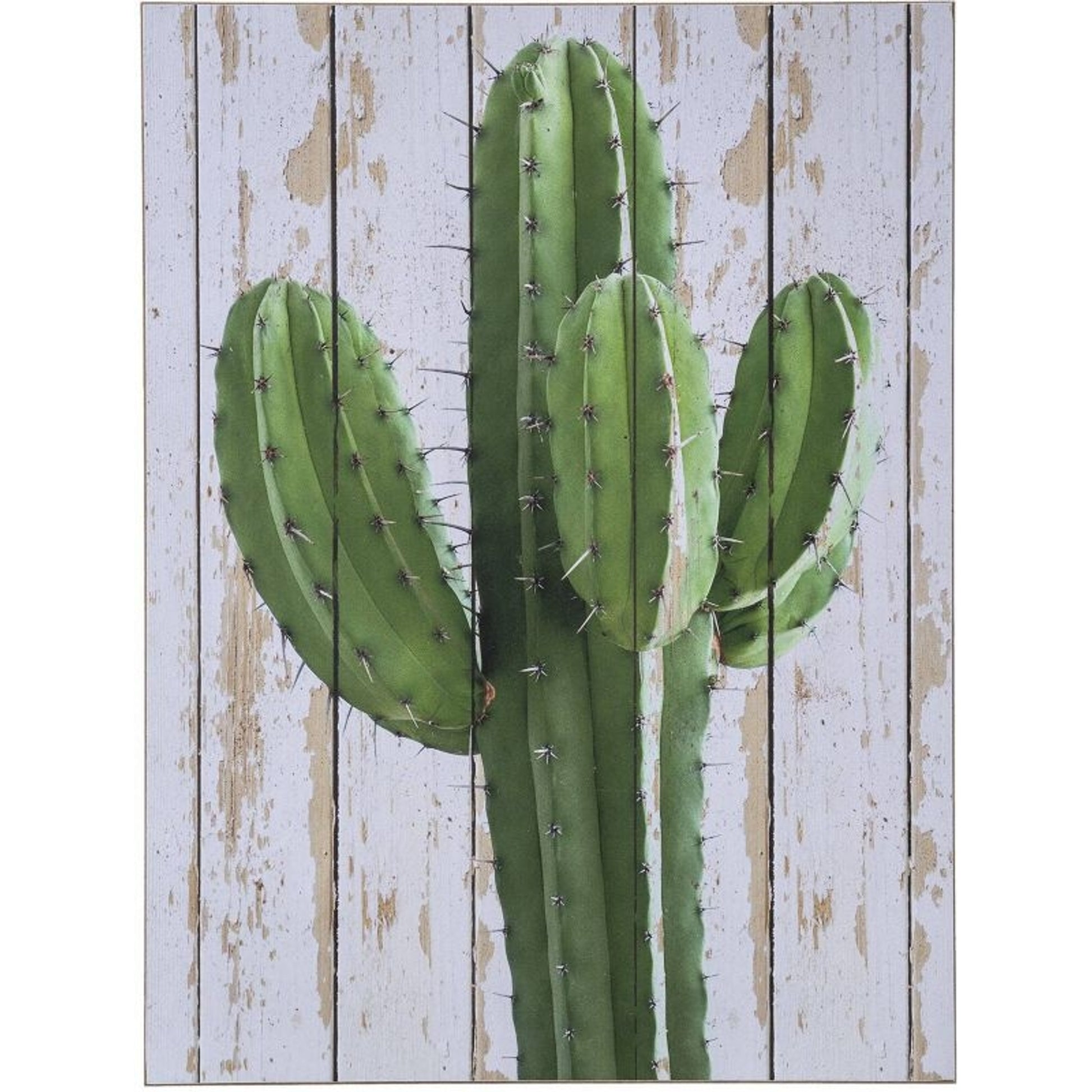 Wall Decor Cactus/Planks