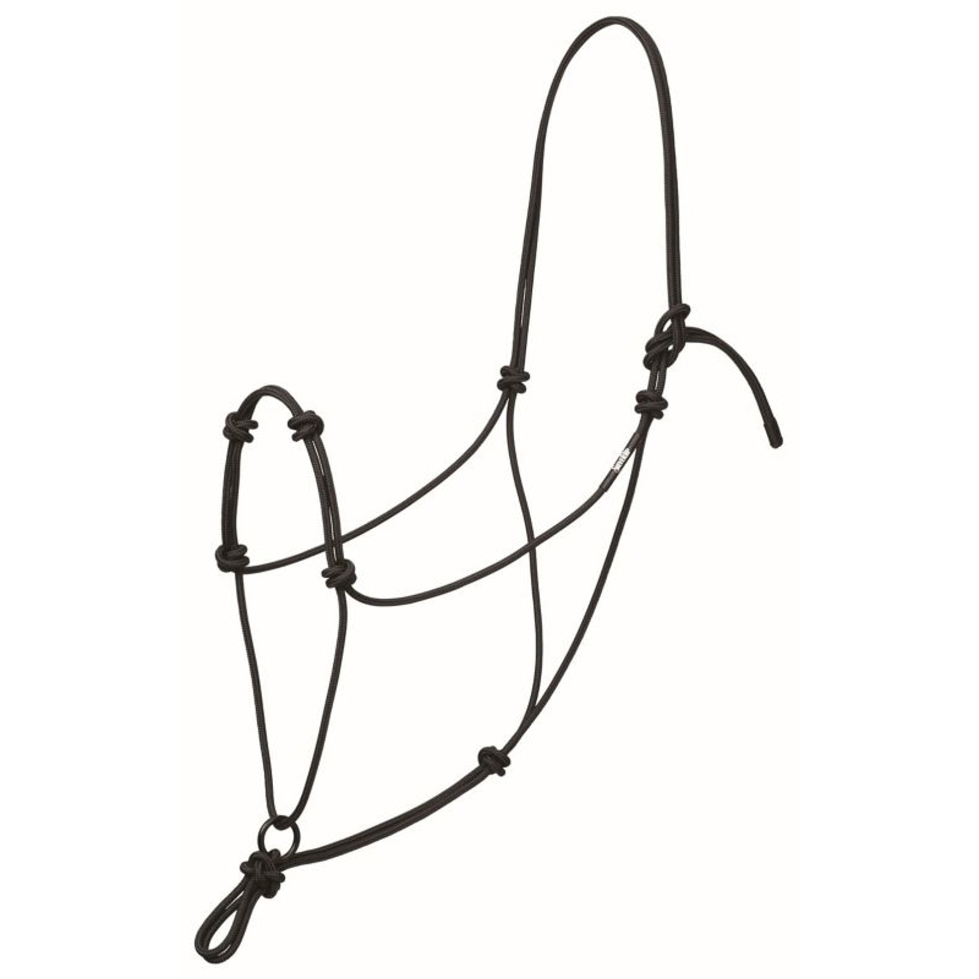 Av 4 Knot Transtn Rope Hltr Bk