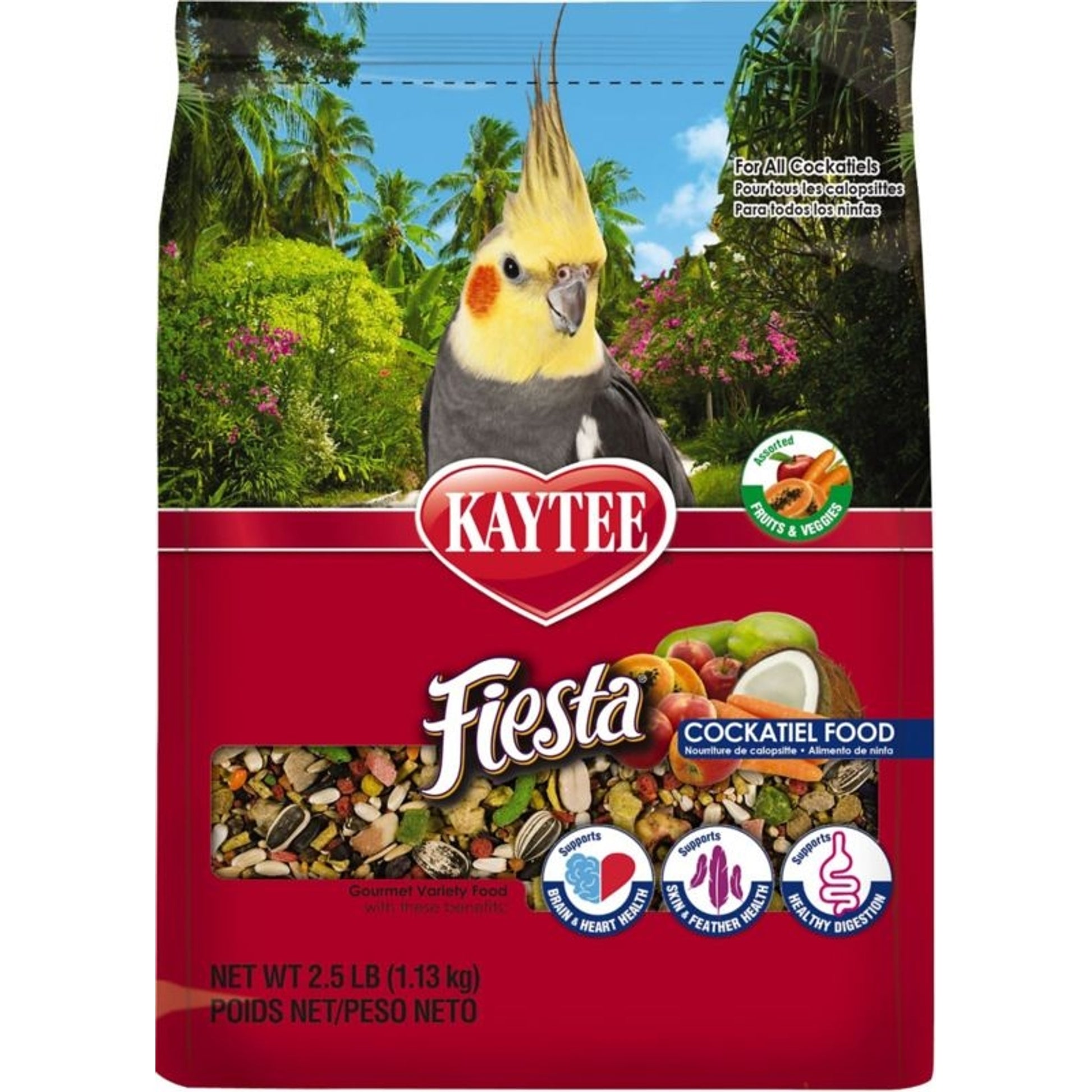 Fiesta Food