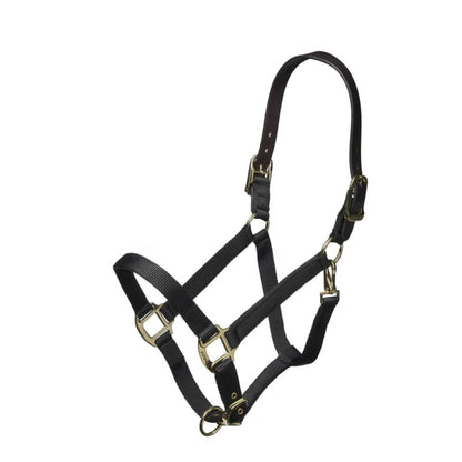 Shires ARMA Nylon Halter with Leather Head Strap