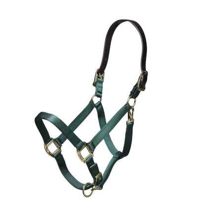 Shires ARMA Nylon Halter with Leather Head Strap