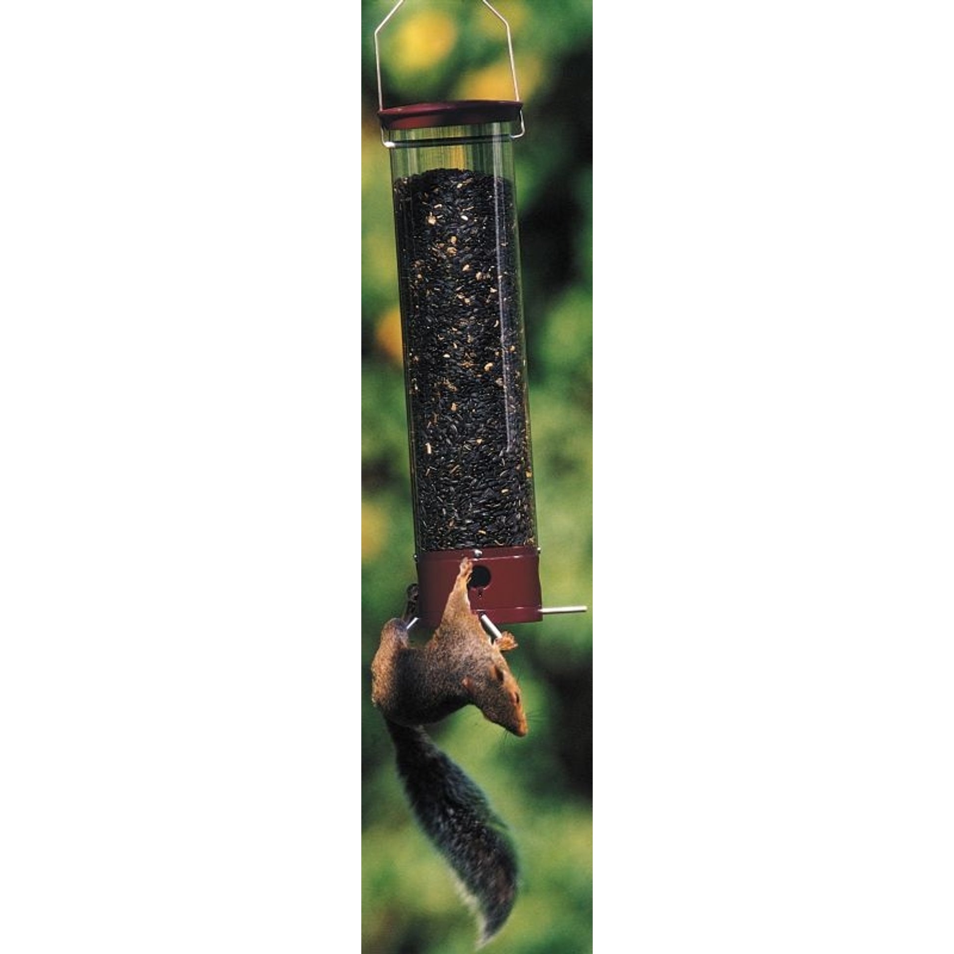 Unique Bird Feeders