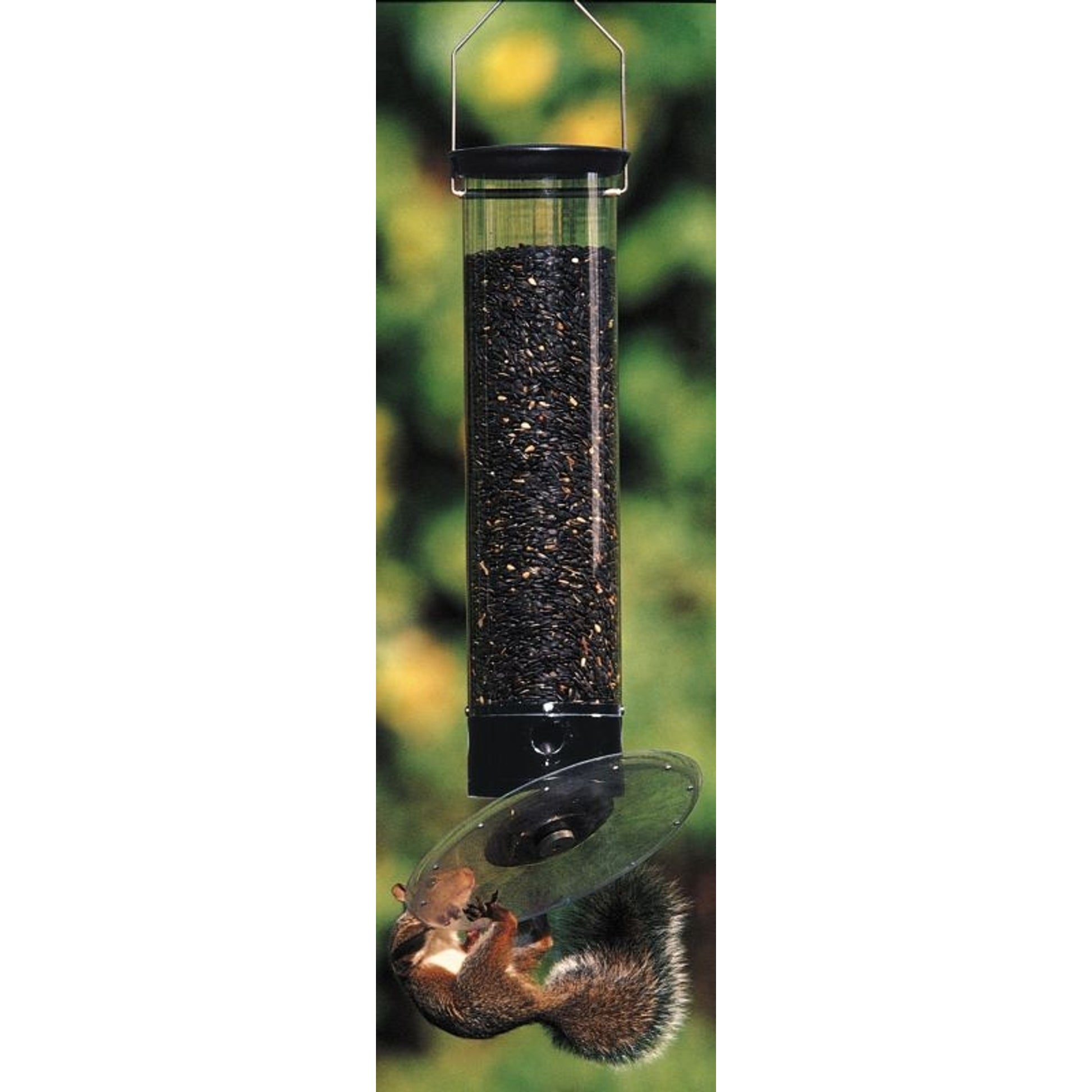 Unique Bird Feeders
