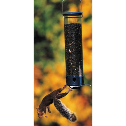 Unique Bird Feeders