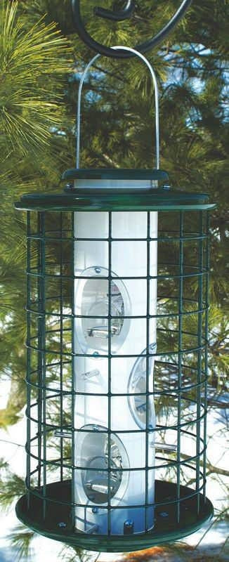 Avian Series Caged Bird Feeder