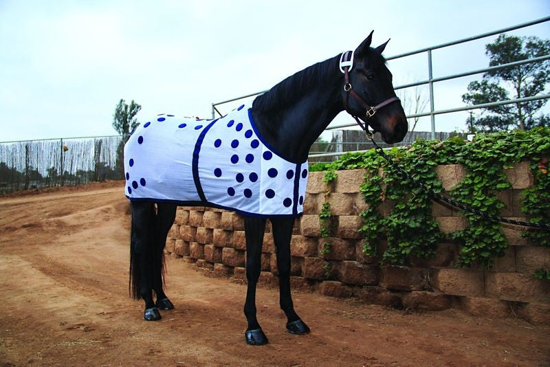 Professionals Choice Magnetic Blanket