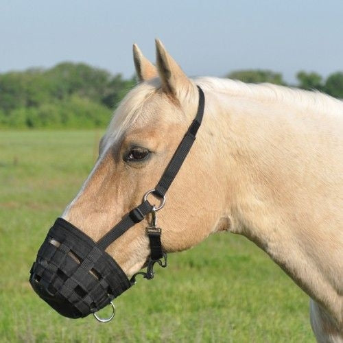 Cashel Grazing Muzzle Halter