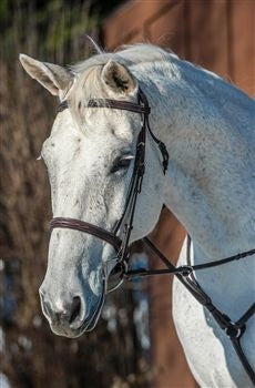 Nunn Finer Florence Bridle