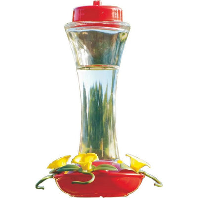 Glass Hummingbird Feeder