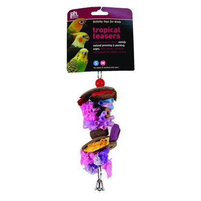 Tropical Teasers Party Time