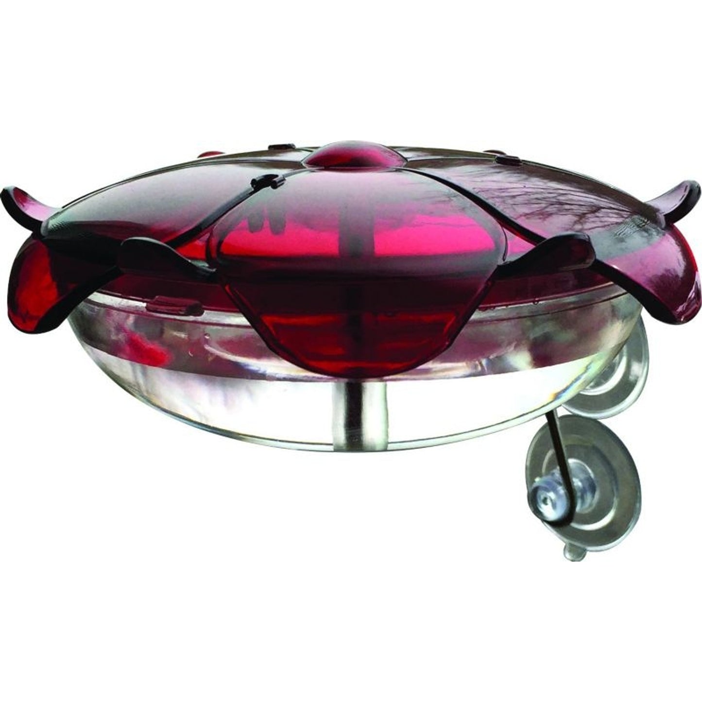 Droll Yankees Ruby Sipper Window Hummingbird Feeder