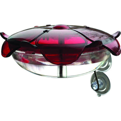 Droll Yankees Ruby Sipper Window Hummingbird Feeder
