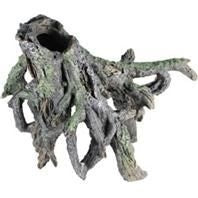 Sunken Driftwood Roots