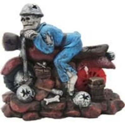 Underwater Motorcycle Skull