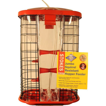 Stokes Jumbo Squirrel Resistant Hopper Feeder