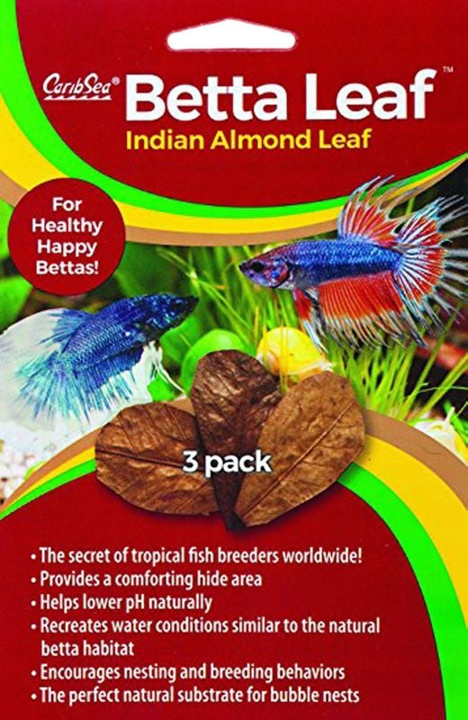 Betta Leaf Indian Almond Leaf