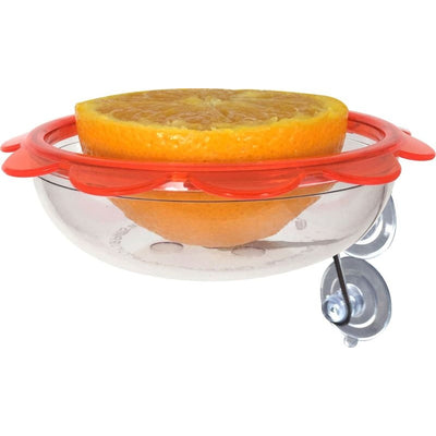 Bos Marmalade Window Oriole Feeder