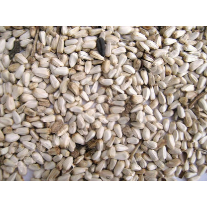 Safflower Seed