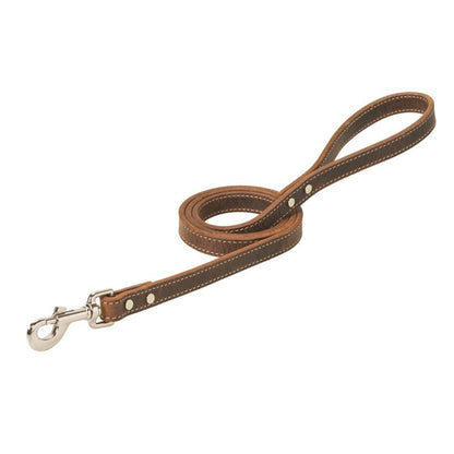 Weaver Crazy Horse Dog Leash