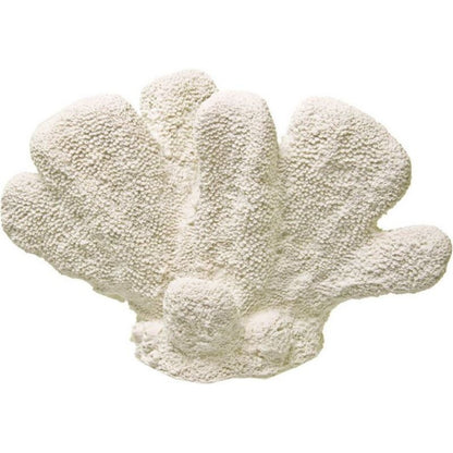 Exotic Environments Cat'S Paw Coral