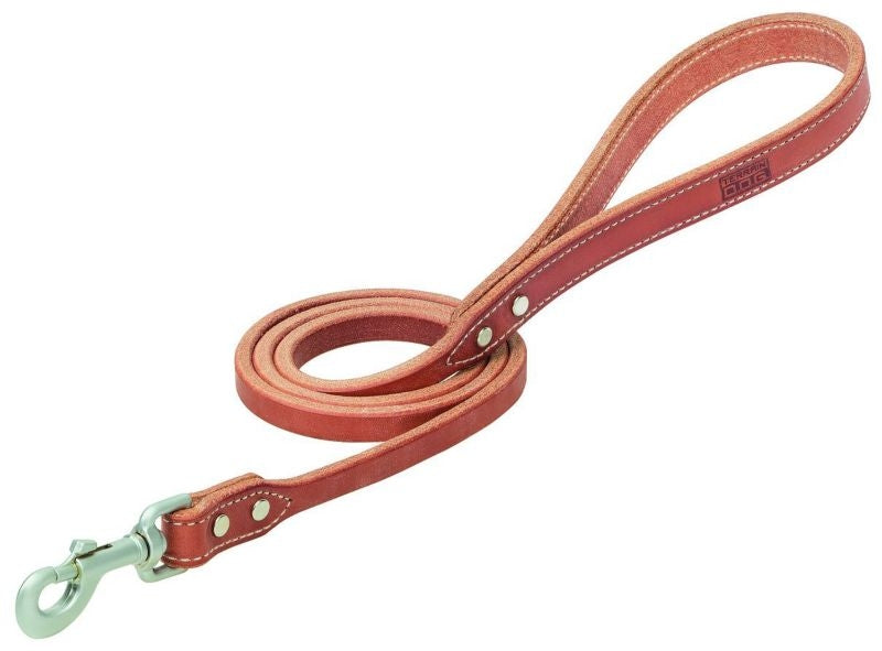 Weaver Hybrid Leash -Canyon Rose
