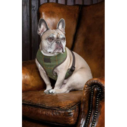 Shires Digby & Fox Tweed Dog Harness