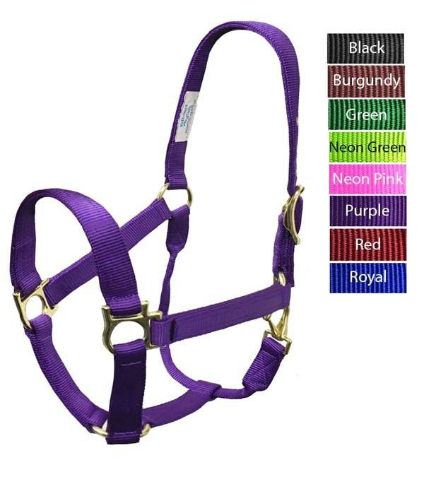 Valhoma QS Halter