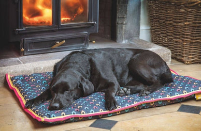 Shires Digby & Fox Waterproof Dog Bed