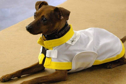 Saratoga Horseworks K9 Kool Coat
