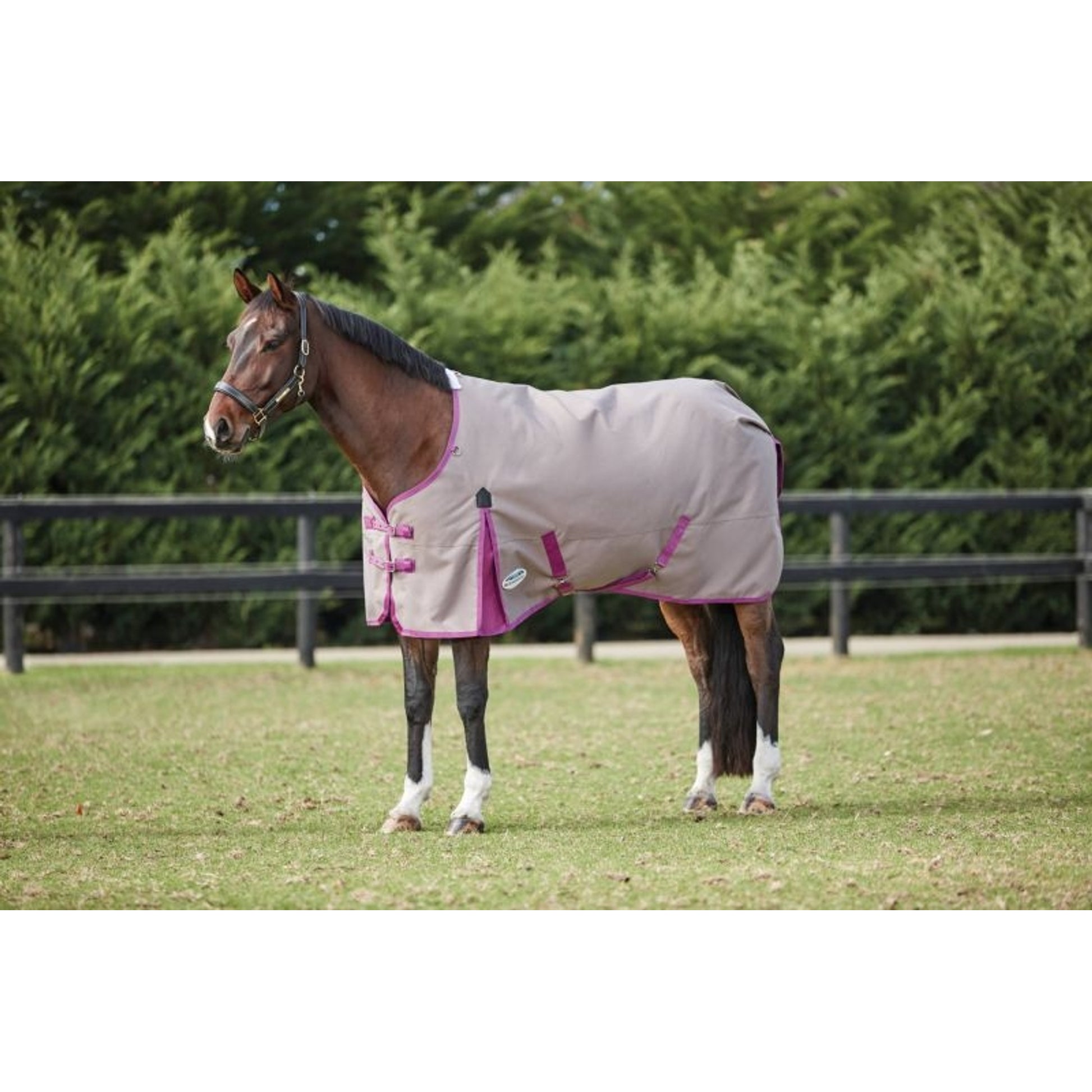 Weatherbeeta ComFiTec Essential Standard Neck Lite Turnout Blanket