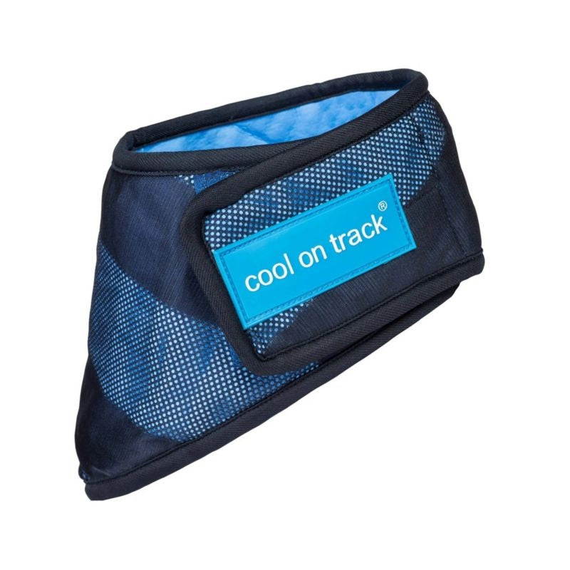 Back on Track Cool on Track Bandana