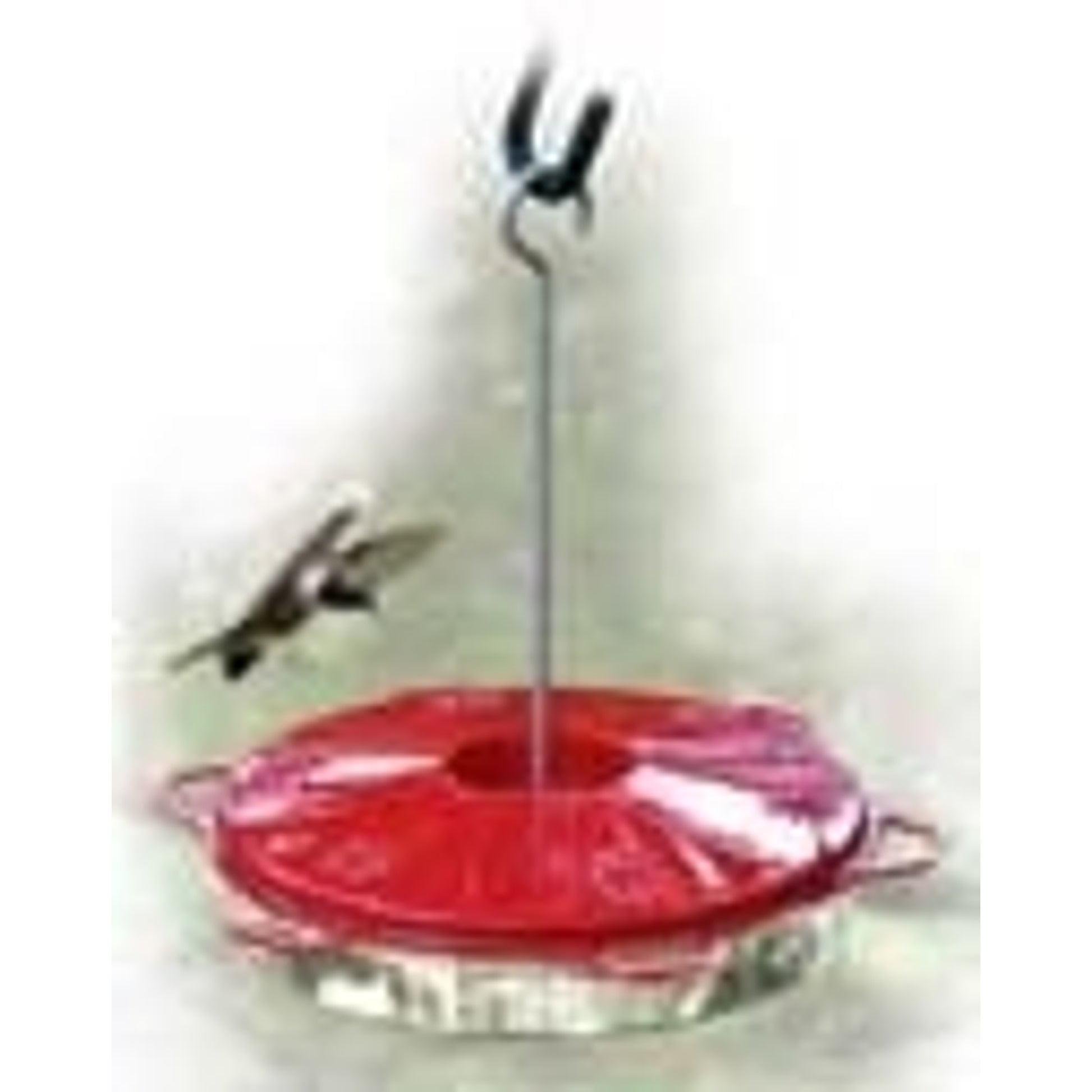 Classic Hummingbird Feeder Fill With Nectar