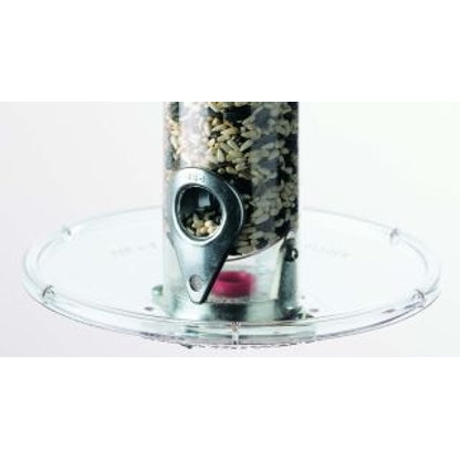 Seed Tray